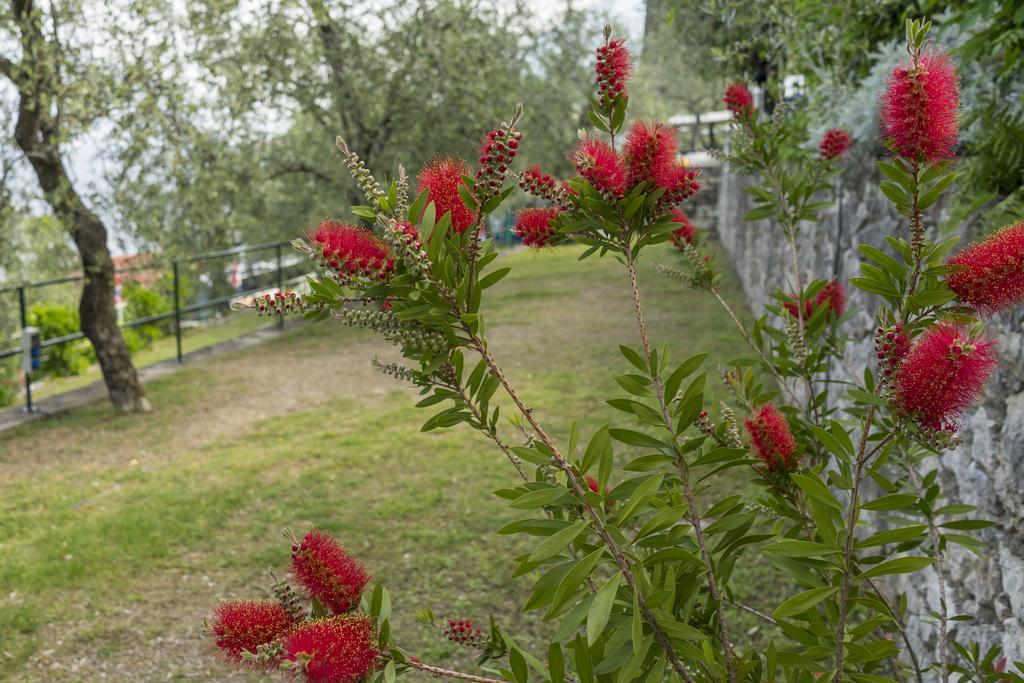 Monja Camping Village Brenzone sul Garda Exterior photo