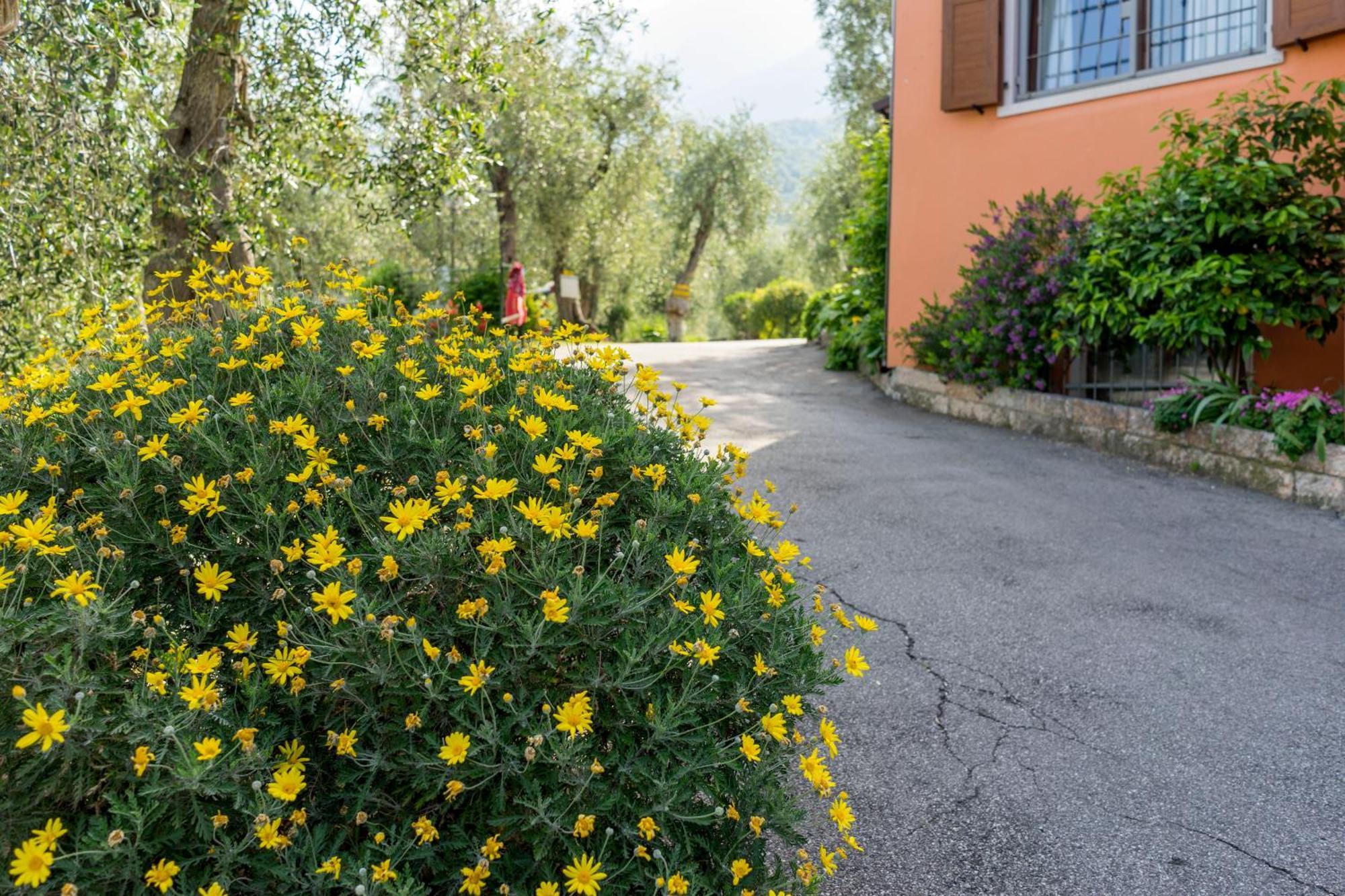 Monja Camping Village Brenzone sul Garda Exterior photo