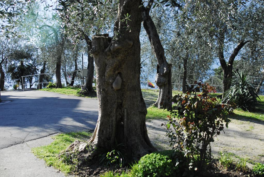 Monja Camping Village Brenzone sul Garda Exterior photo
