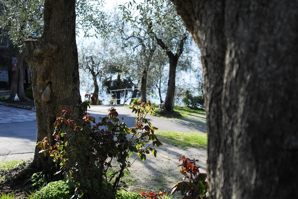 Monja Camping Village Brenzone sul Garda Exterior photo